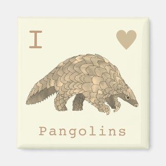 Íman Eu Amo Pangolins Espécie Animal Fofa Ameaçada de E