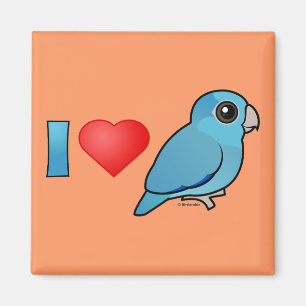Íman Eu amo Parrotlets pacífico (azul)