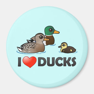 Íman Eu amo patos