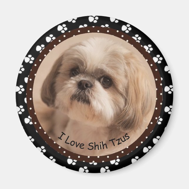 Íman Eu amo Shih Tzus Magnet (Frente)
