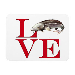 Íman Eu Amo Sturgeon