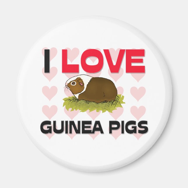 Íman Eu Amo Suínos de Guiné (Frente)