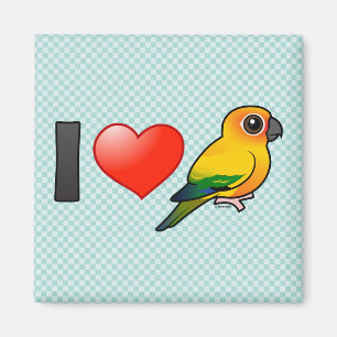 Íman Eu amo Sun Conures