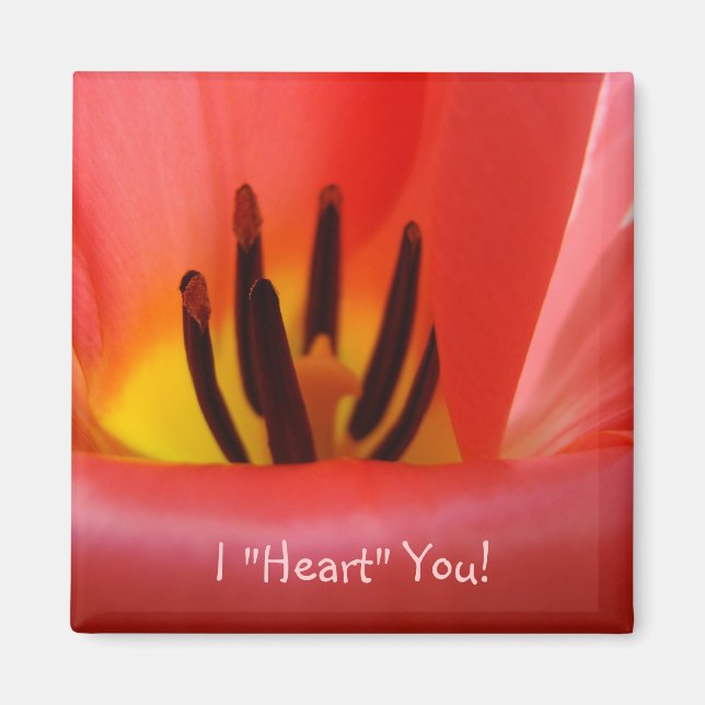 Íman Eu "Amo" Você! ímã Flores Tulipa VERMELHA (Frente)