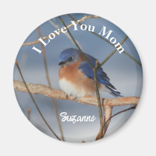 Íman Eu Amo Você Mamãe Pássaro Azul Personalizado