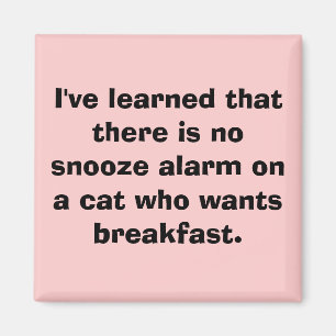 Íman Eu aprendi que não há nenhum alarme do snooze no