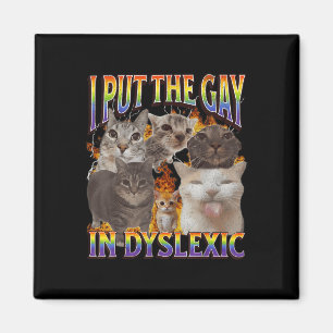 Íman Eu Coloquei O Gay Em Disléxico Meme De Gato Engraç