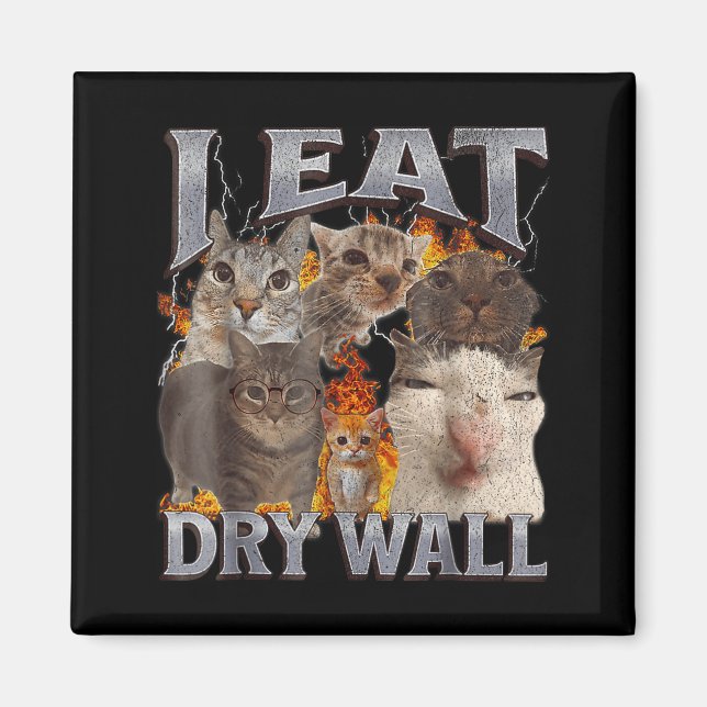 Íman Eu Como Drywall Gato Engraçado Meme Bootleg Gráfic (Frente)