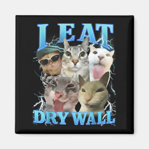 Íman Eu Como Parede Seca Meme de Gato Engraçado