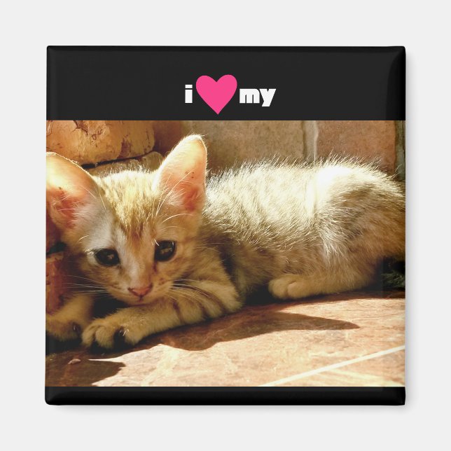 Íman Eu Corto Meu Gato (Frente)