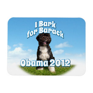 Íman Eu descasco para Barack, BO o primeiro cão Obama