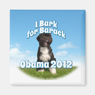 Íman Eu descasco para Barack, BO o primeiro cão Obama
