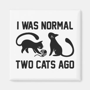 Íman Eu era dois gatos normais há