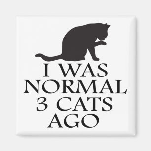 Íman eu era normal há 3 gatos — gato engraçado