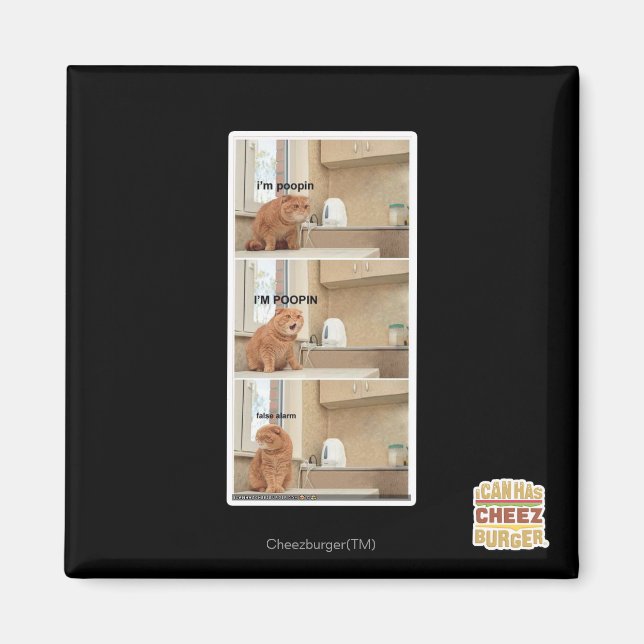 Íman Eu estou fazendo cocô! (Frente)