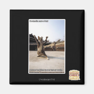 Íman Eu faço palhaços de fúria