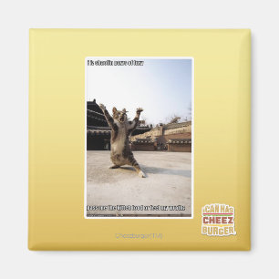 Íman Eu faço palhaços de fúria