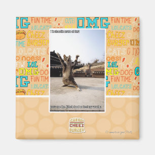 Íman Eu faço palhaços de fúria