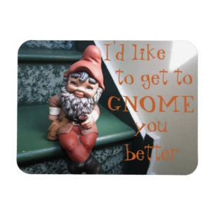 Íman Eu gostaria de ir ao GNOME, melhor Magnet