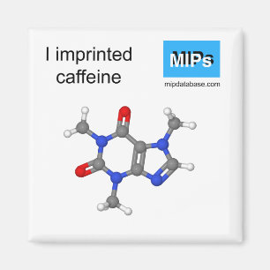 Íman Eu imprimi bola de magneta de cafeína e pau
