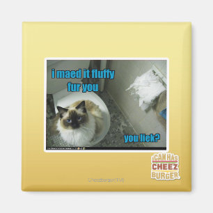 Íman Eu maed o pele macia você