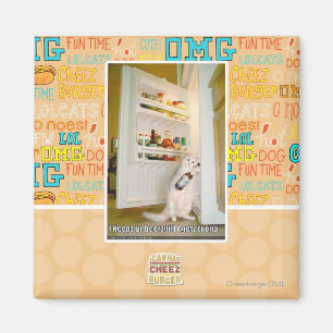 Íman Eu mantenho nossa cerveja