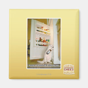 Íman Eu mantenho nossa cerveja