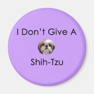 Íman Eu não dou um ímã de Shih Tzu