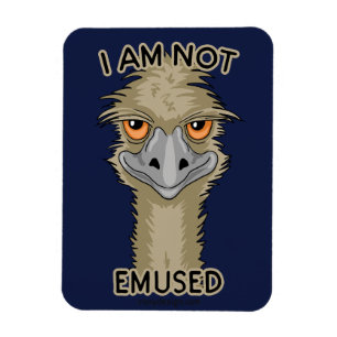 Íman Eu não sou chalaça engraçada do Emu de Emused
