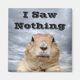 Íman Eu não vi nada no dia do Groundhog