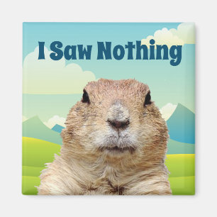 Íman Eu não vi nada no dia do Groundhog