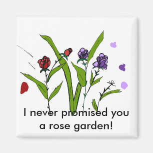 Íman Eu nunca prometi a você um imã de rosa jardim