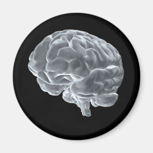 Íman Eu obtive cérebros!