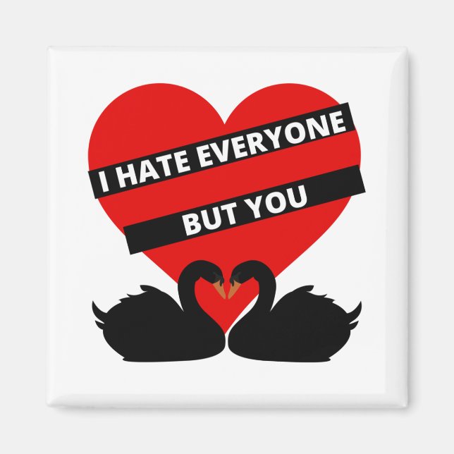 Íman Eu Odeio Todos, Mas Você É Negro (Frente)