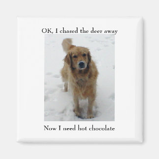 Íman Eu persegui o veado, agora eu...