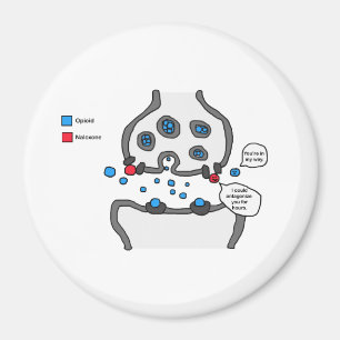 Íman Eu poderia antagonizá-lo