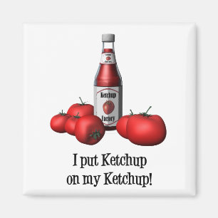 Íman Eu pôr a ketchup sobre meu ímã da ketchup