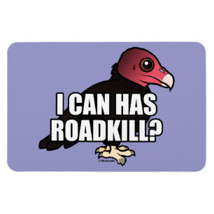 Íman Eu posso tenho Roadkill?