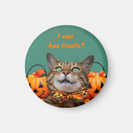 Íman Eu Posso Ter Guloseimas Ímã de Gato