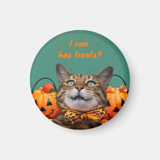 Íman Eu Posso Ter Guloseimas Ímã de Gato (Frente)