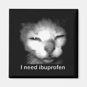 Íman Eu Preciso de Ibuprofeno Gato Meme Engraçado Gato 