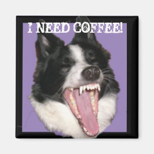 Íman Eu preciso o café!