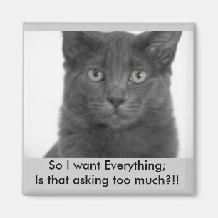 Íman Eu quero-o todo o ímã