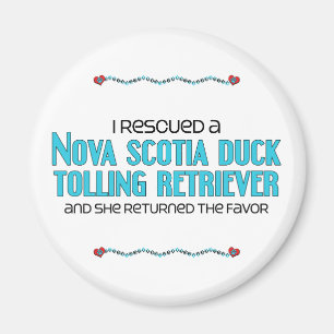 Íman Eu salvei um Retriever anunciando do pato (o cão