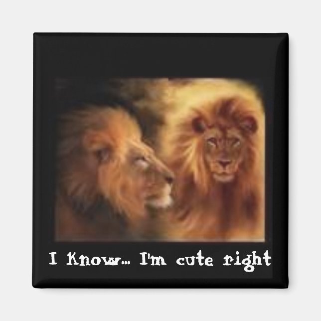 Íman Eu sei. Eu sou fofo, certo? (Frente)