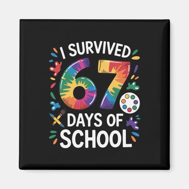 Íman Eu Sobrevivi 67 Dias De Escola Meme Professoras (Frente)
