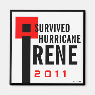 Íman Eu sobrevivi ao ímã 2 de Irene do furacão