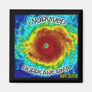 Íman Eu sobrevivi ao ímã de Irma do furacão