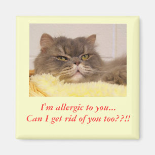 Íman Eu sou alérgico a você. Ímã