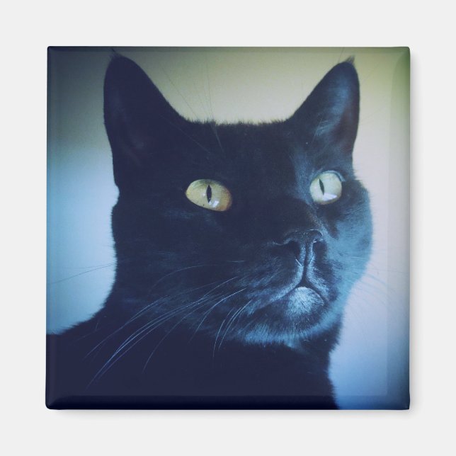 Íman Eu Sou Gato (Frente)